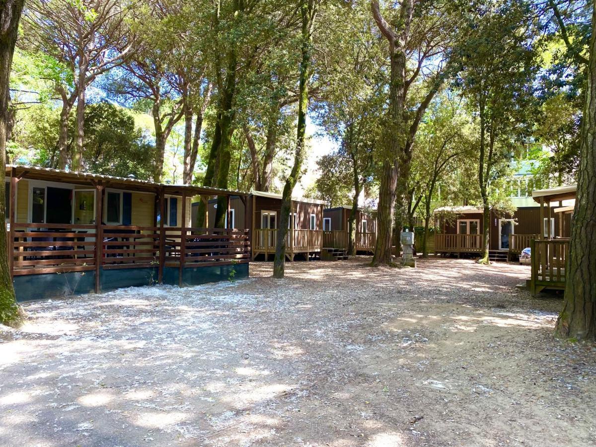Dena Chalets - Lido Di Spina At The Beach Extérieur photo